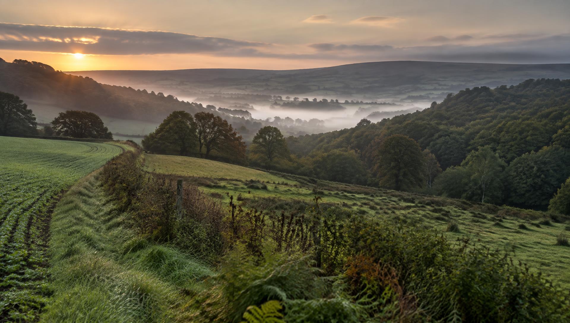 Managed farmland and woodland across Exmoor at first light